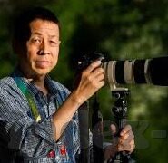 500比分足球-500比分足球，绿茵场上的数字交响曲